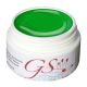 GS-Nails 5ml UV Farbgel Hell Gr�n Made in Germany #A6