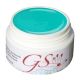 GS-Nails 5ml UV Farbgel Aqua Green Made in Germany #B5